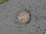 DSC02297
