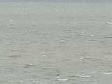 IMG-20260719-WA0051