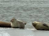 IMG-20260719-WA0109