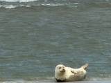 IMG-20260719-WA0113