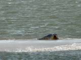 IMG-20260719-WA0125