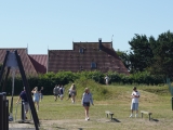 DSC00965
